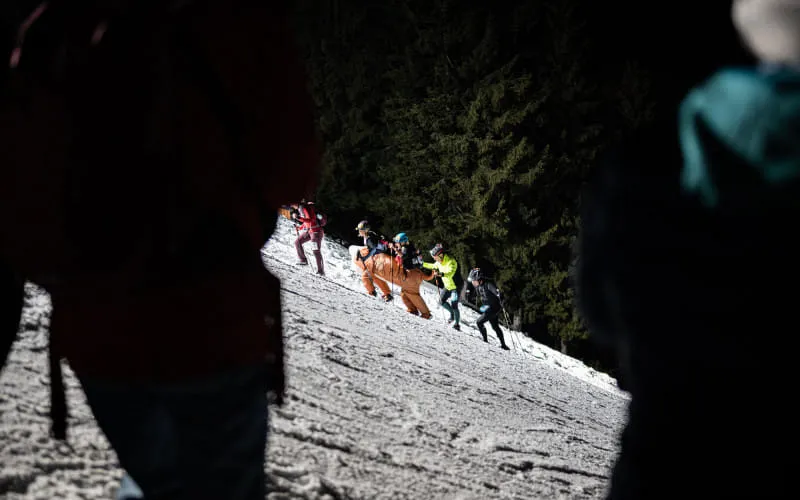 lowres_vertical_up_2026_02_28_c_peakpixelcafe_543.jpg